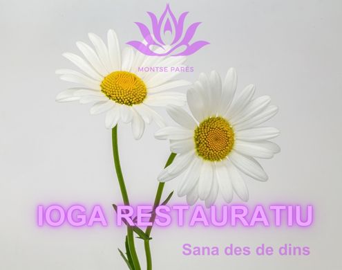 ioga-restauratiu